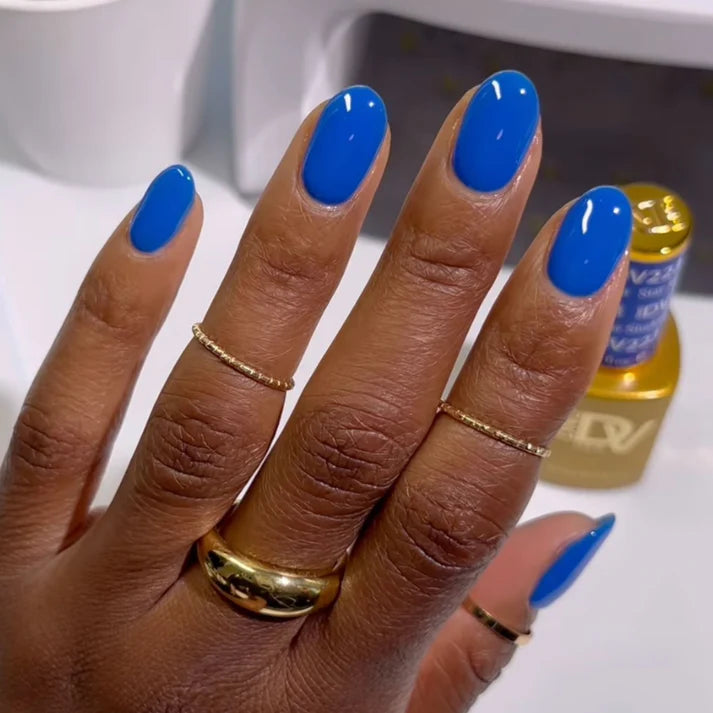 DIVA Duo DV223 Học viên ngôi sao