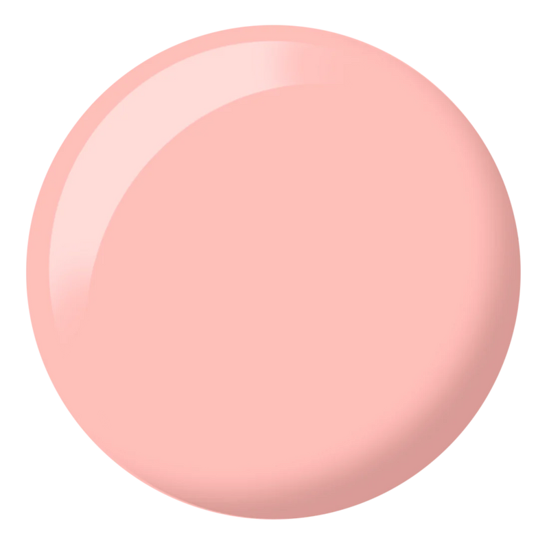 Bánh Tart tự làm DIVA Duo DV114