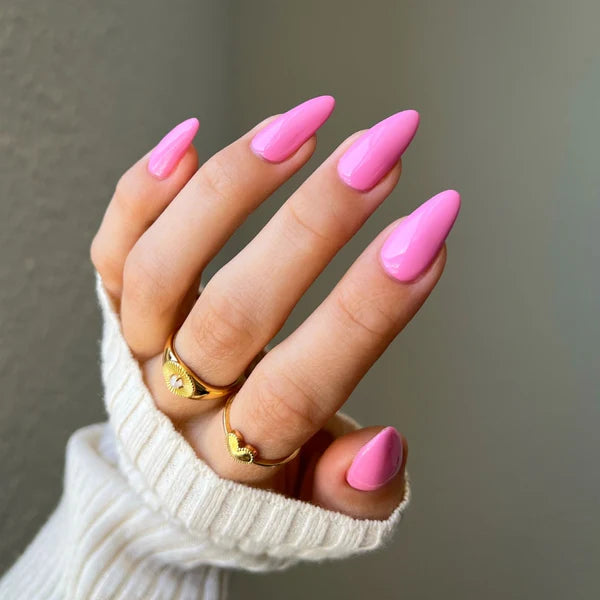 DIVA Duo DV172 Where’s My Beret?