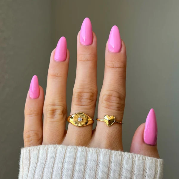 DIVA Duo DV172 Where’s My Beret?