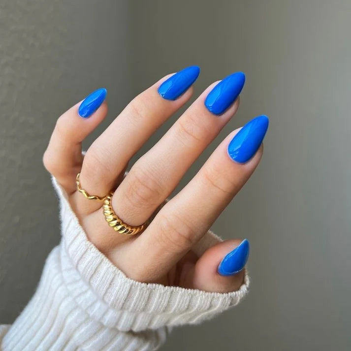 DIVA Duo DV223 Học viên ngôi sao