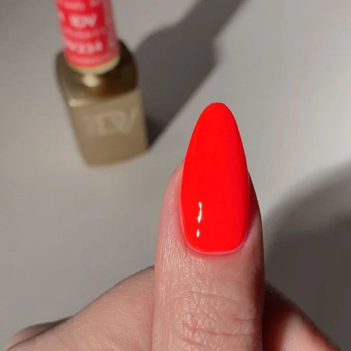 DIVA Duo DV234 Jellyfish Candy