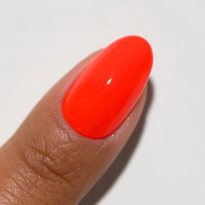 DIVA Duo DV235 “Sorry There Was Traffic”