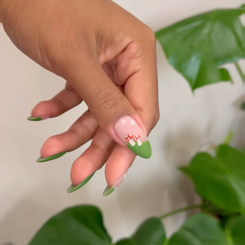 DIVA Duo DV250 Cedar Brown