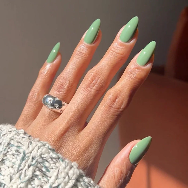 DIVA Duo DV286 Giải Nhất