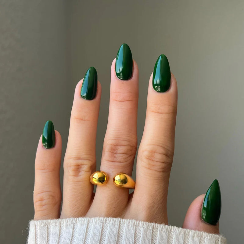 DIVA Duo DV289 Câu chuyện cá sấu