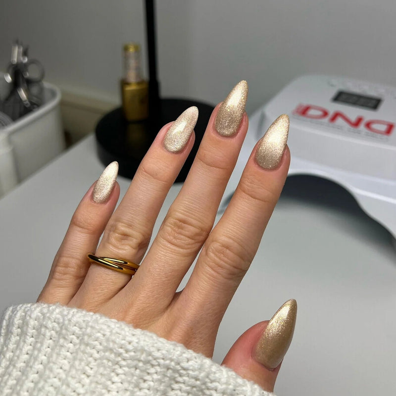 Diva 9D Cat Eyes Collection Daydream Set 12 colors 25 - 36 GEL ONLY - Angelina Nail Supply NYC