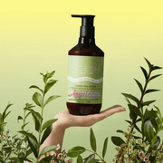 Voesh Green Tea Detox Vegan Body & Hand Creme 28 Fl.Oz. (Box/12 Bottles) - Angelina Nail Supply NYC