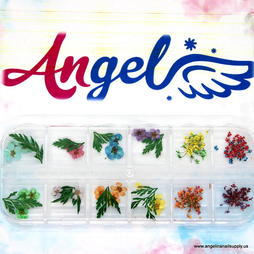 Dry Flower #8 - Angelina Nail Supply NYC