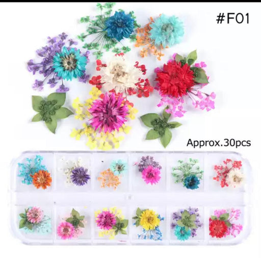 Dry Flower #F01 - Angelina Nail Supply NYC