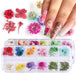 Dry Flower #F05 - Angelina Nail Supply NYC