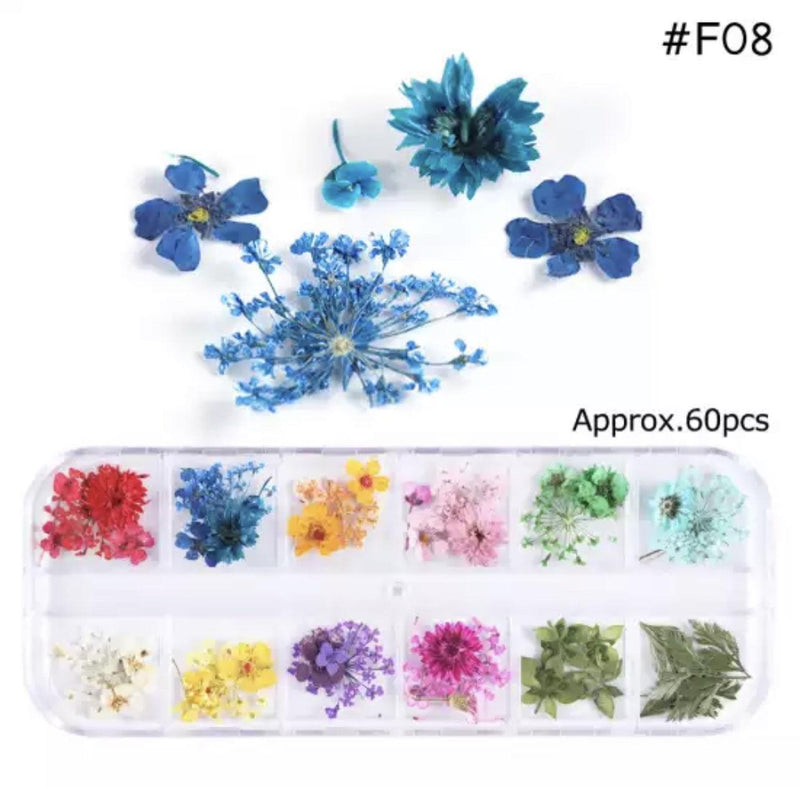 Dry flower #F08 - Angelina Nail Supply NYC