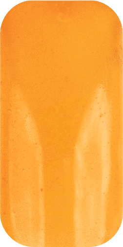 Perception Translucent Gel Complete Set - 01->12 | Perfect Match - Angelina Nail Supply NYC