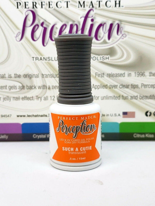 Perception Translucent Gel Set #1 - 01->06 | Perfect Match - Angelina Nail Supply NYC