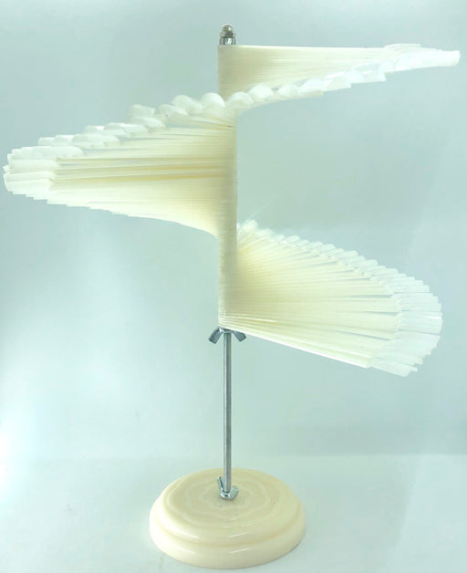 Umbrella Test Color ( 100 sticks ) - Angelina Nail Supply NYC